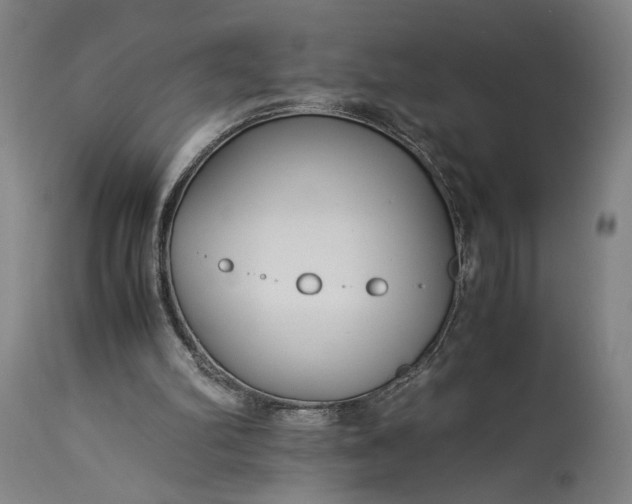 X0000115300102200911161707