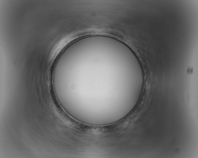 X0000115300103200911161707