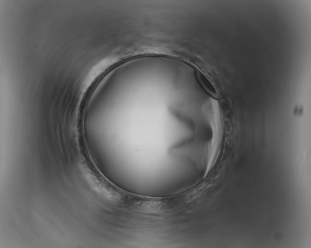 X0000115300104200911161707