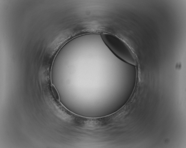 X0000115300105200911161707