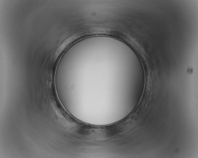 X0000115300107200911161707