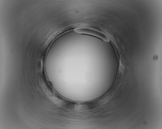 X0000115300109200911161707