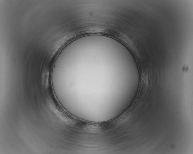 X0000115300110200911161707