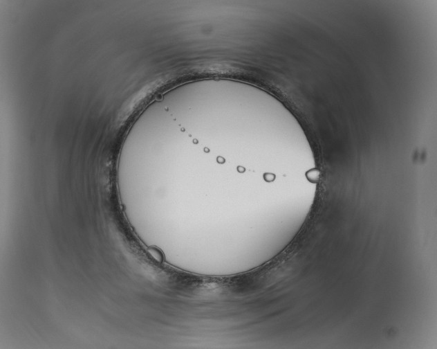 X0000115300111200911161707