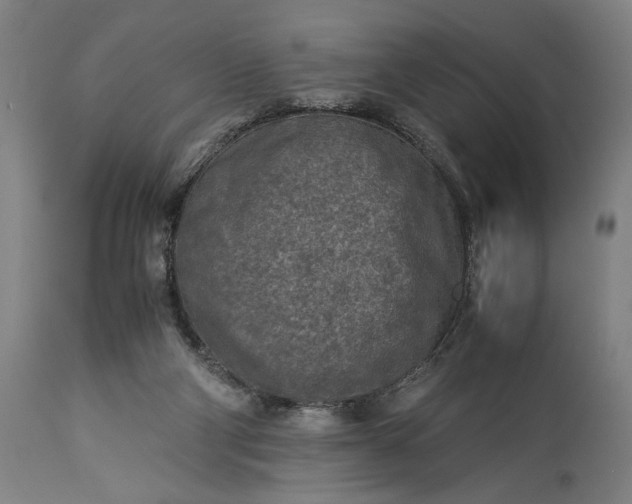 X0000115300114200911161707