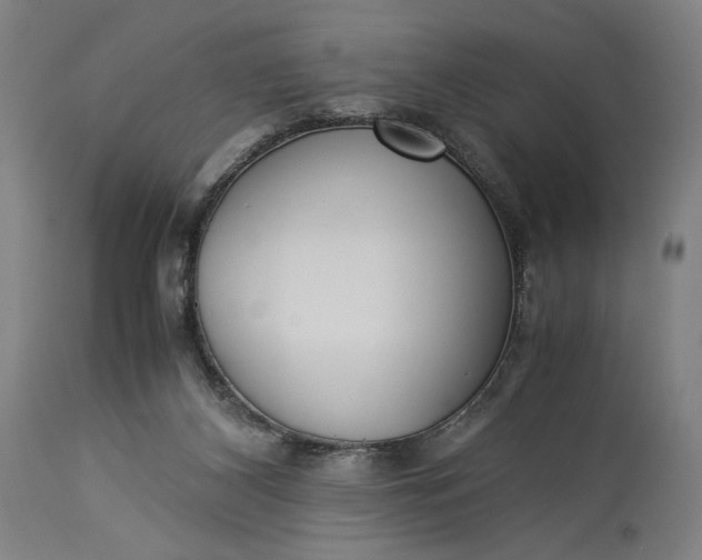 X0000115300116200911161707