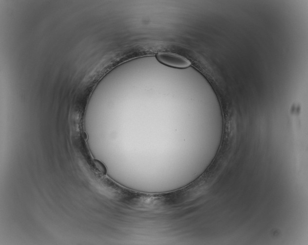 X0000115300117200911161707