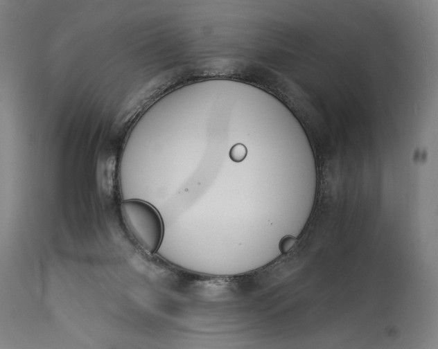 X0000115300118200911161707