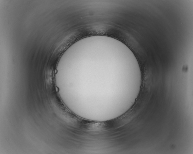 X0000115300122200911161706