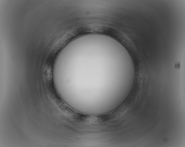 X0000115300123200911161706