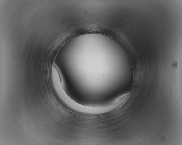 X0000115300124200911161706