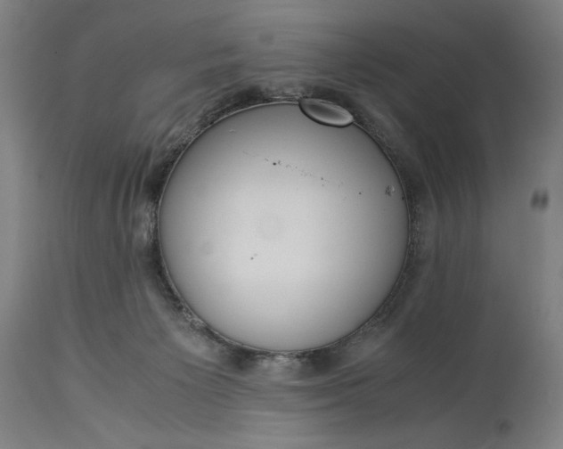 X0000115300125200911161706