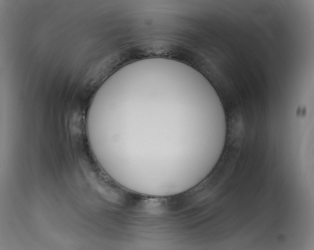 X0000115300126200911161706