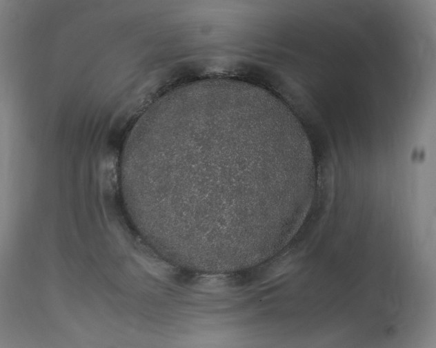 X0000115300127200911161706