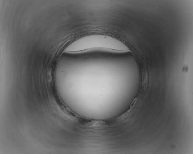 X0000115300128200911161706