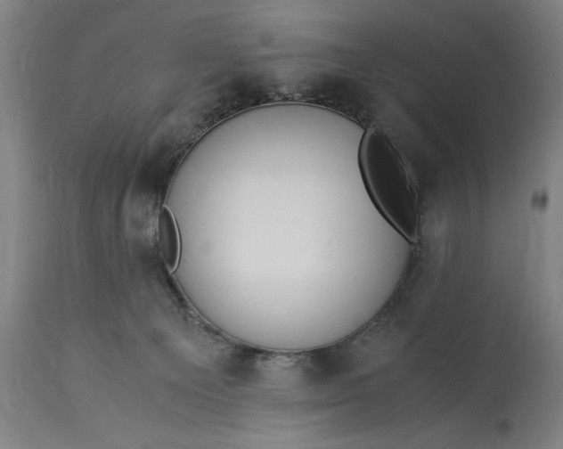 X0000115300129200911161706