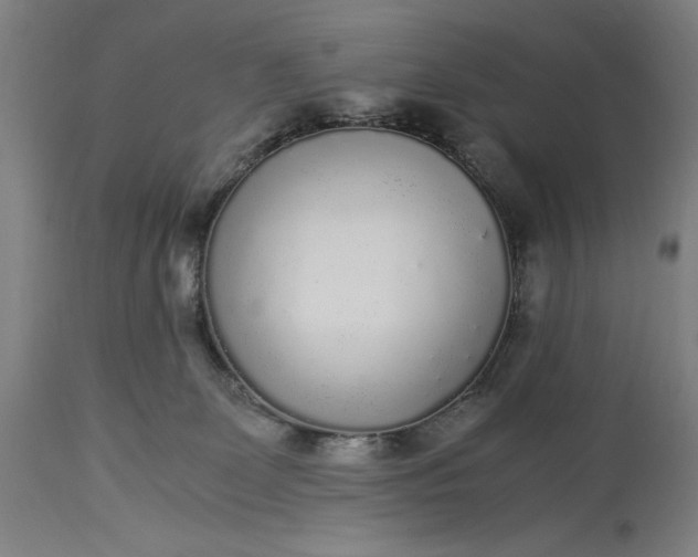 X0000115300131200911161706