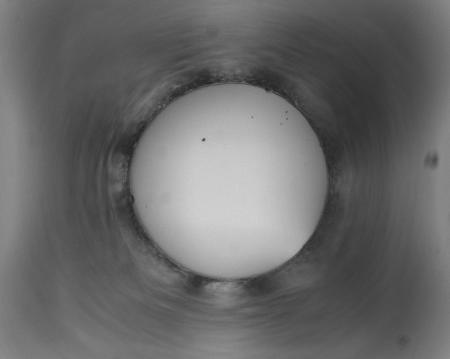 X0000115300133200911161706