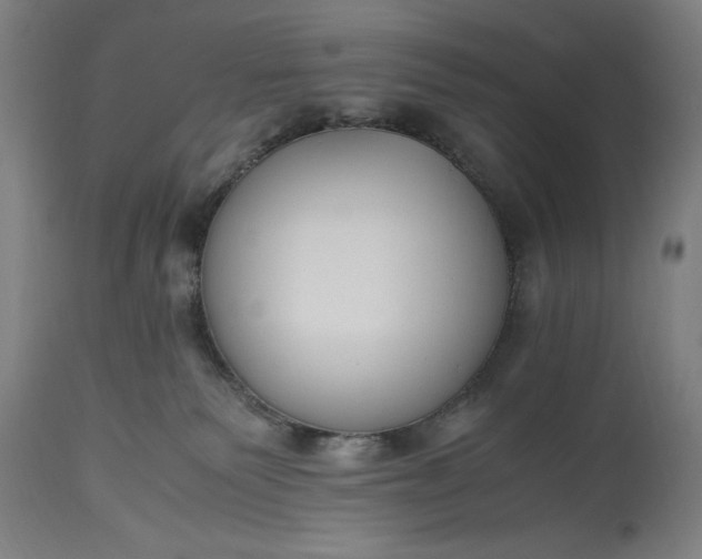 X0000115300135200911161706