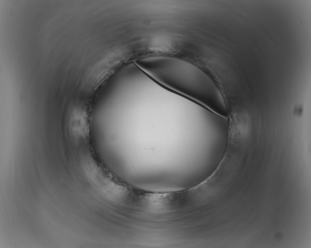 X0000115300136200911161706