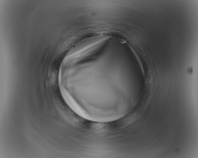 X0000115300139200911161706