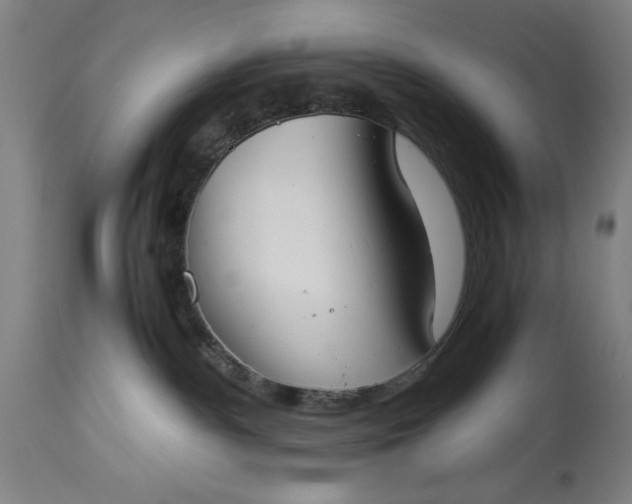 X0000115300140200911161706