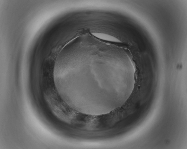 X0000115300143200911161706