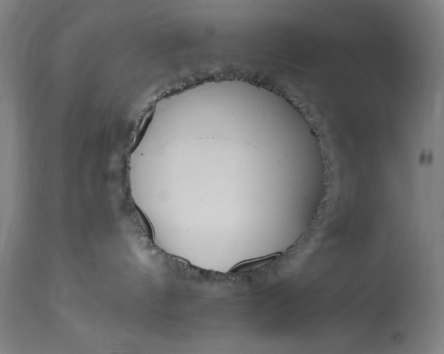 X0000115300144200911161706