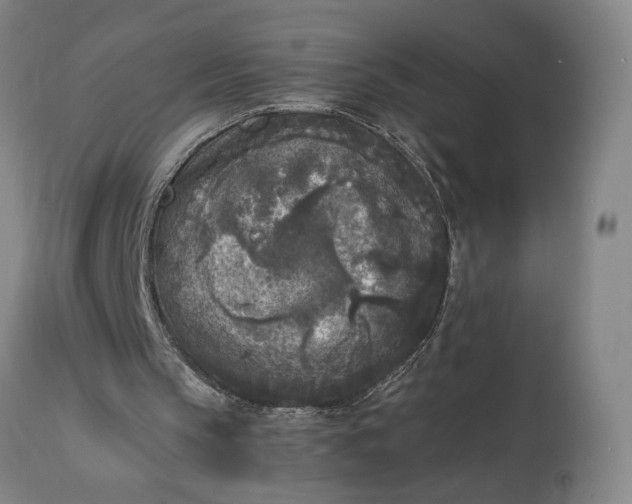 X0000115300145200911161705