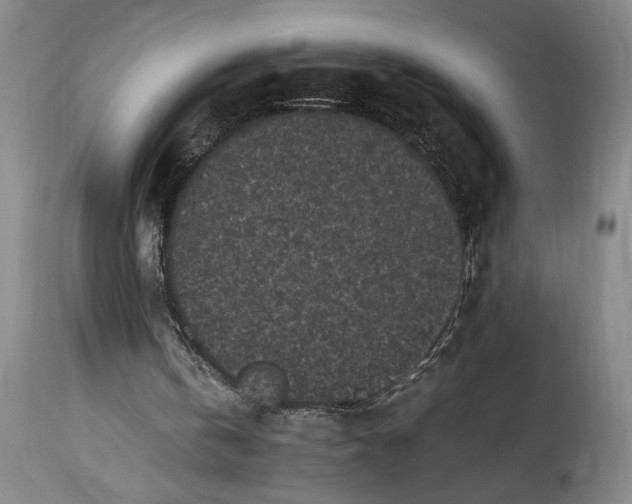 X0000115300146200911161705