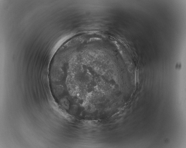 X0000115300147200911161705