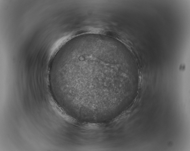 X0000115300149200911161705