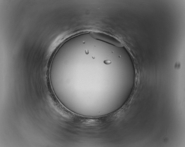 X0000115300151200911161705