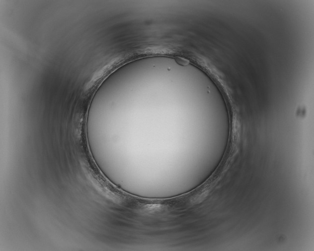 X0000115300153200911161705