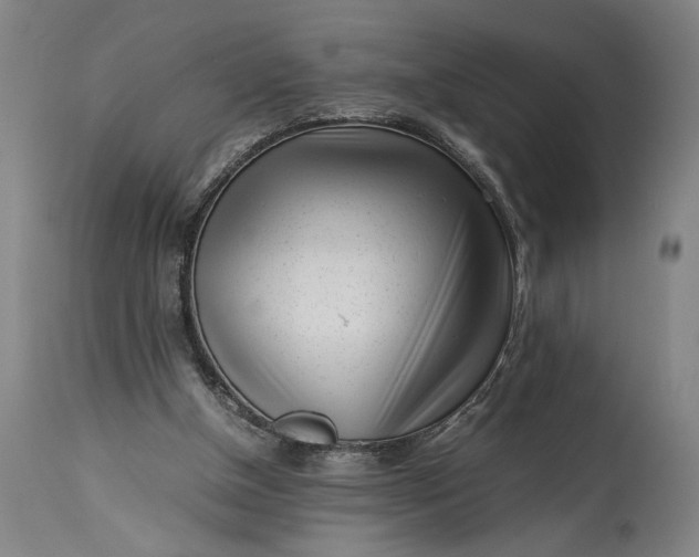 X0000115300154200911161705