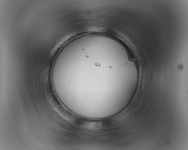 X0000115300155200911161705