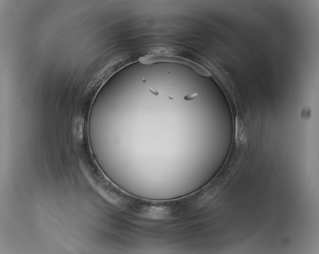 X0000115300157200911161706