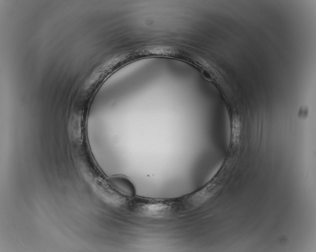 X0000115300158200911161706