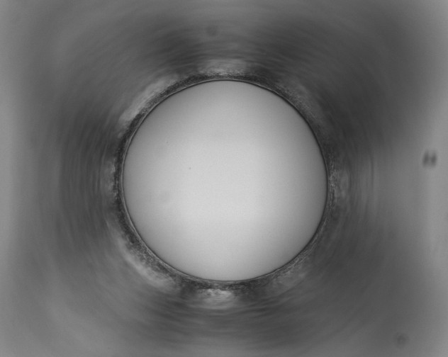 X0000115300159200911161706