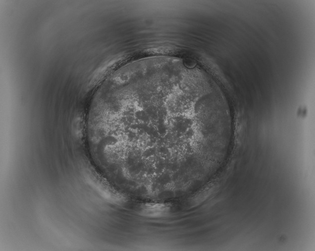 X0000115300161200911161706