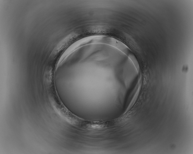 X0000115300163200911161706