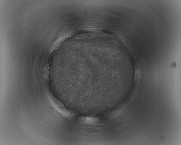 X0000115300165200911161706