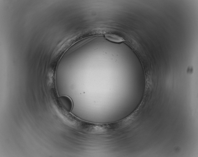 X0000115300166200911161706