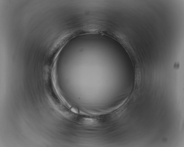 X0000115300167200911161706