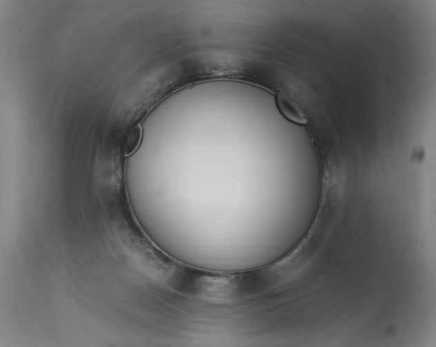 X0000115300170200911161706