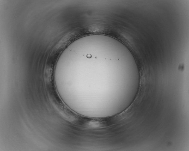 X0000115300171200911161706