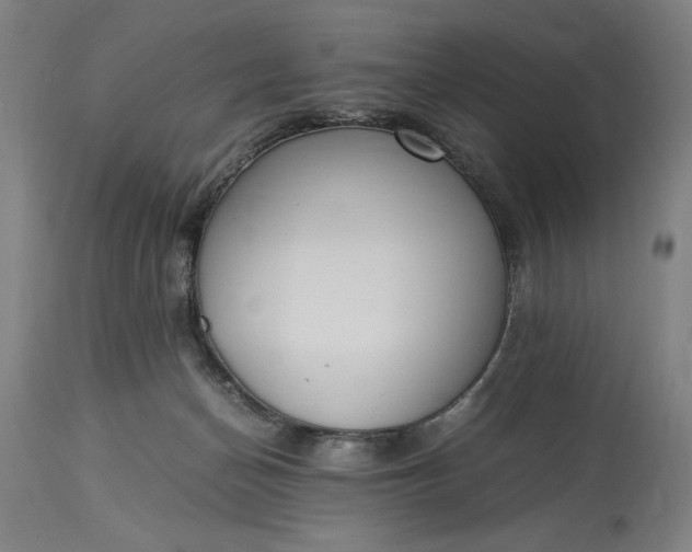 X0000115300174200911161706