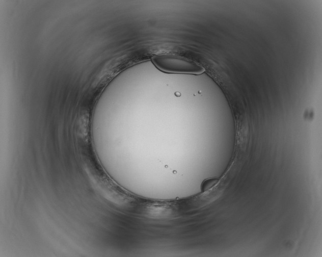 X0000115300175200911161706