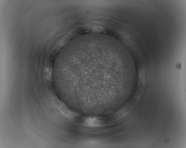 X0000115300177200911161706