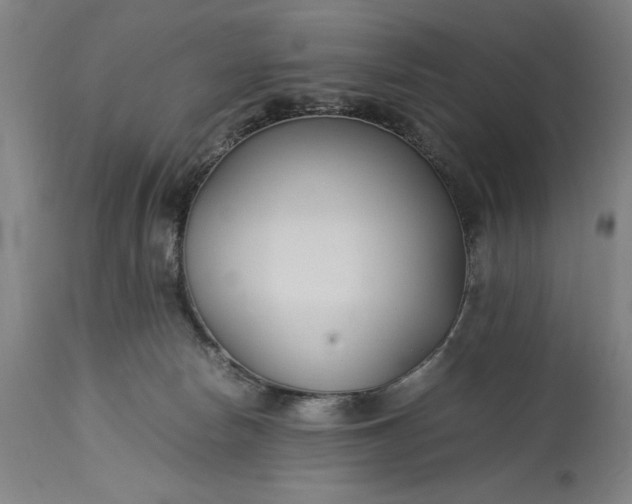 X0000115300178200911161706